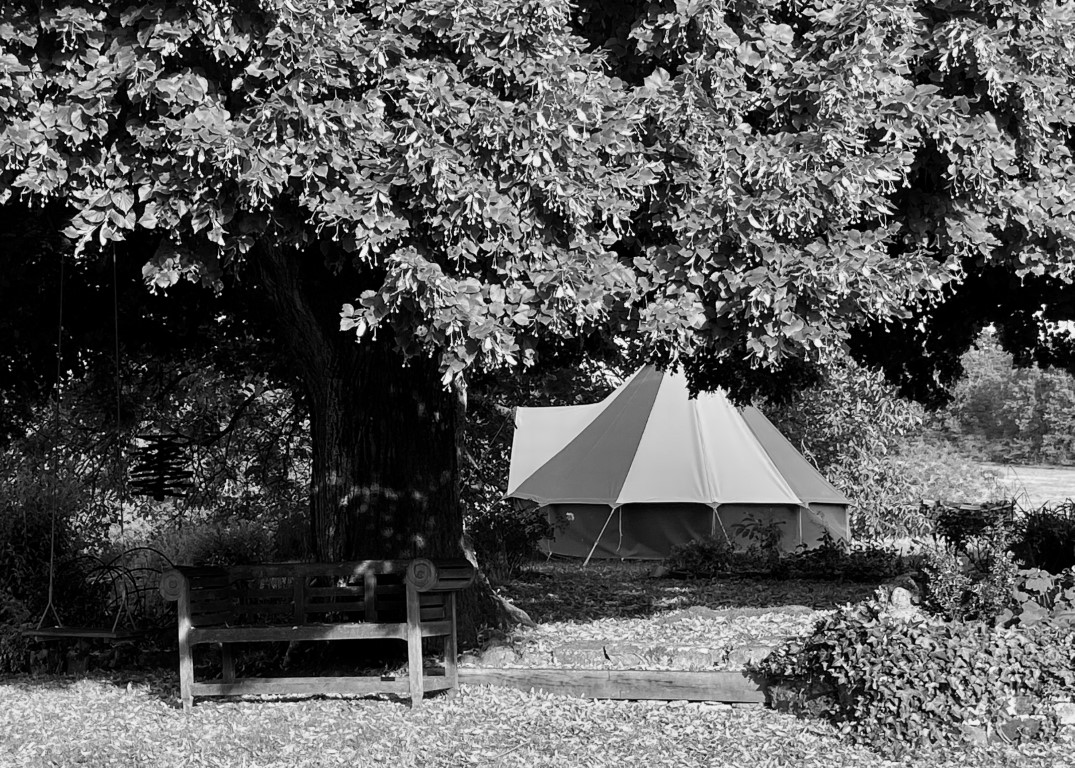 UTLT Bell Tent Woodland Camping, Charente