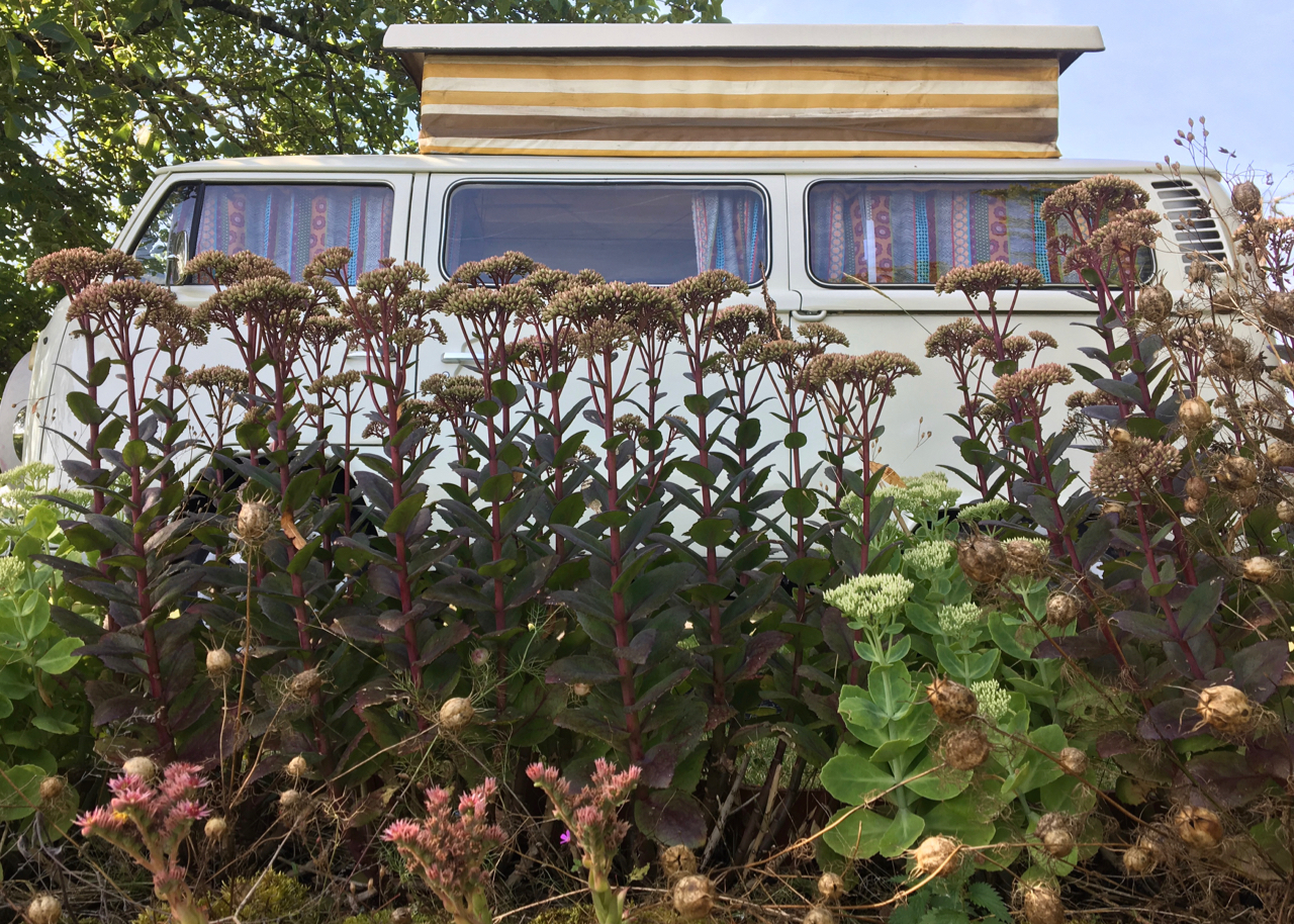 VW Kombi Accommodation at UTLT, South West France
