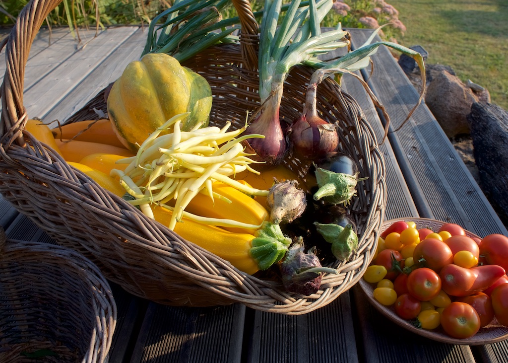 From picking and preparing the veg...