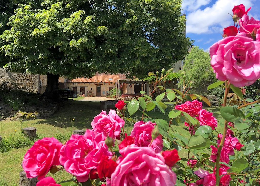 Under The Lime Tree Bed and Breakfast