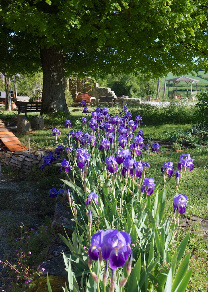 Vegetarian Bed and Breakfast, Charente, South West France