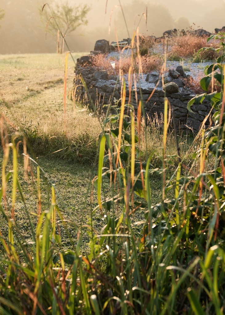 Vegetarian Bed and Breakfast, Charente, South West France