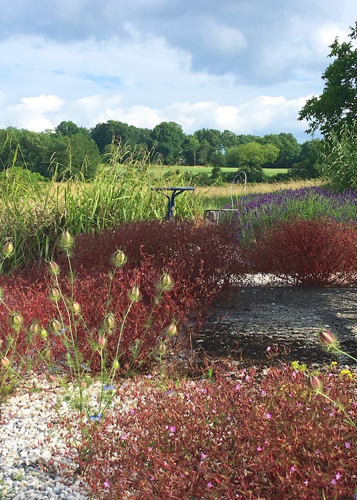 Vegetarian Bed and Breakfast, Charente, South West France