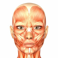 Facial Massage, Cellefrouin, Charente