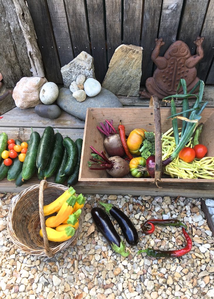 Organic Harvest, Under The Lime Tree, Charente