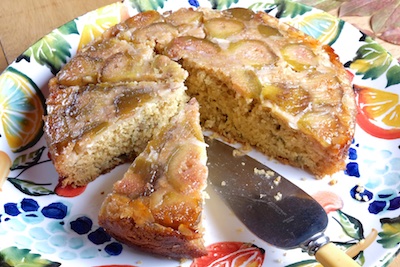 UTLT - vegetarian fig cake