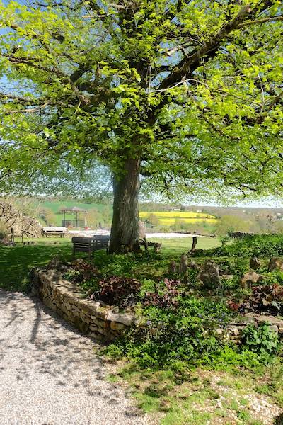 Terrace, UTLT, Charente