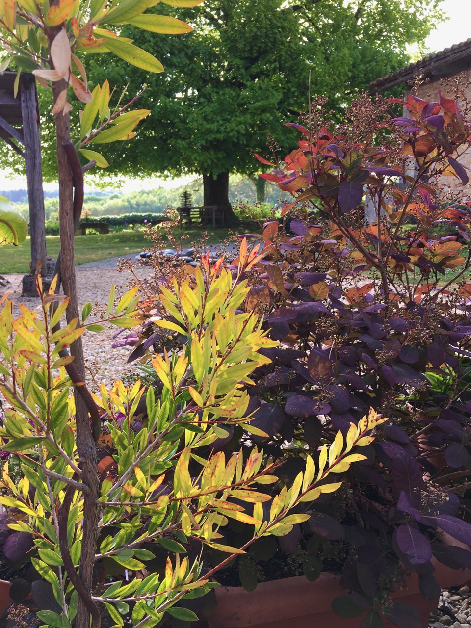 Courtyard at UTLT, Charente