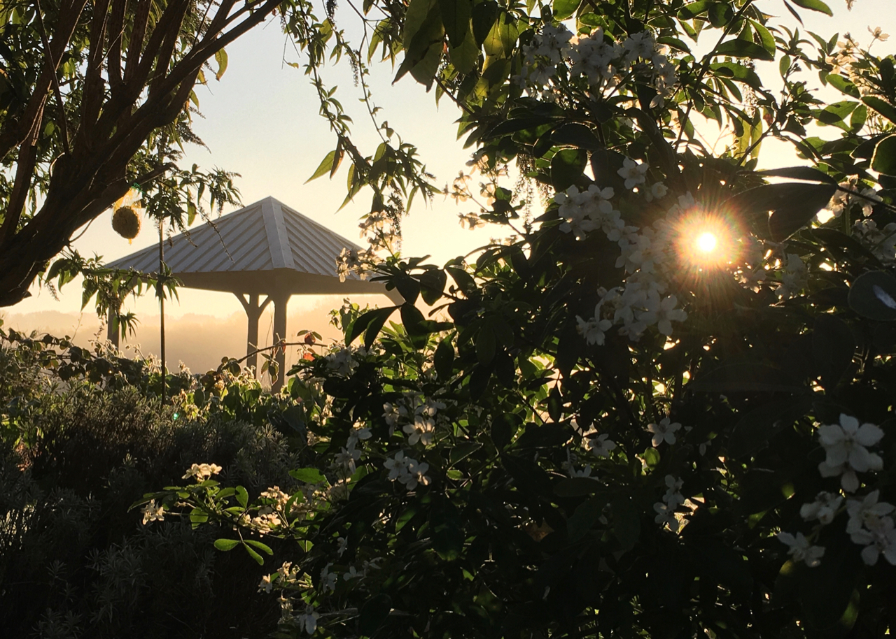 View over Gazebo at UTLT, Charente