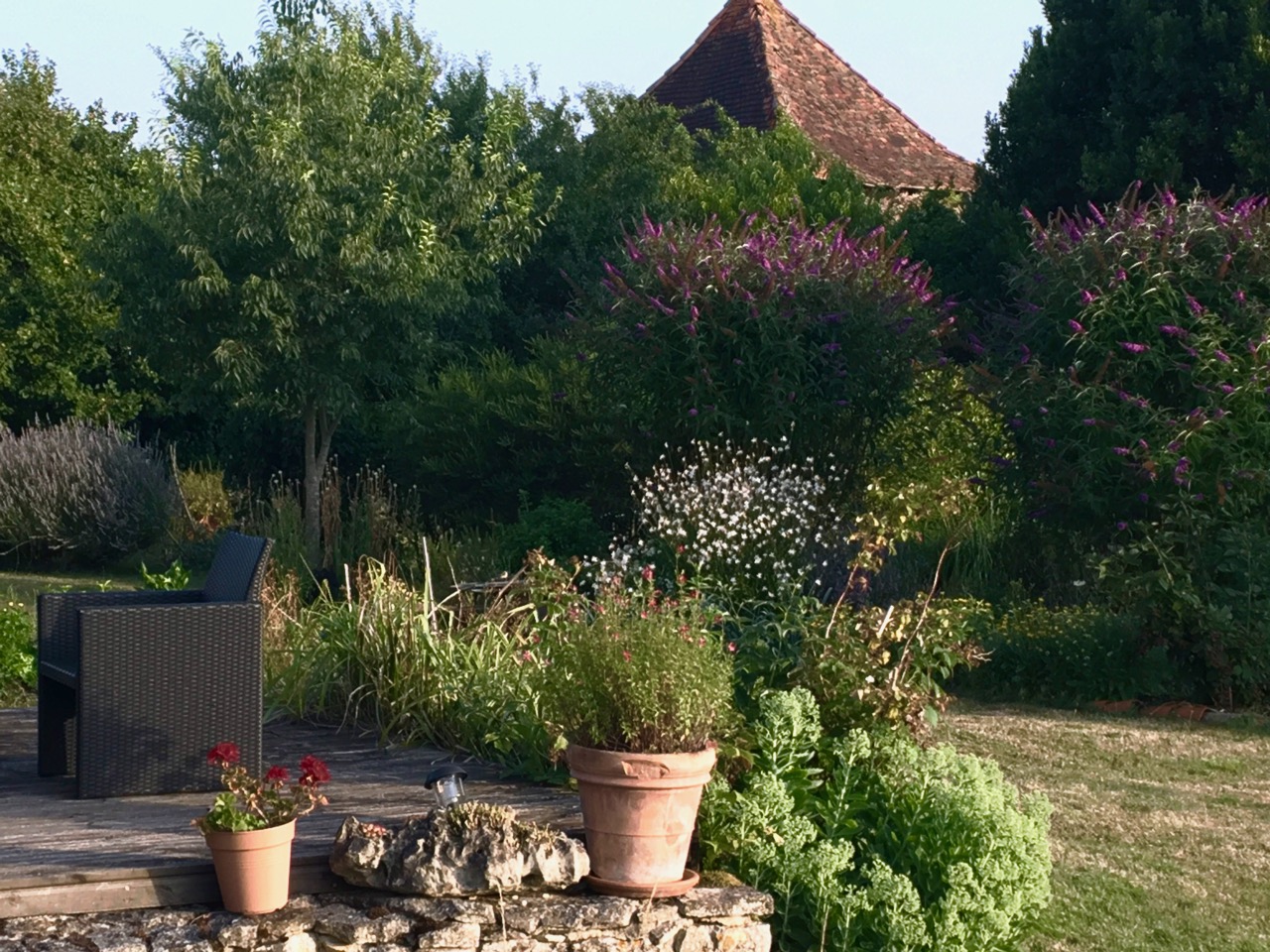 Wysteria at UTLT, Charente