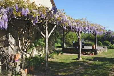 UTLT - Wisteria Views