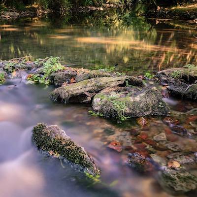 UTLT - Down by the River by Sean 