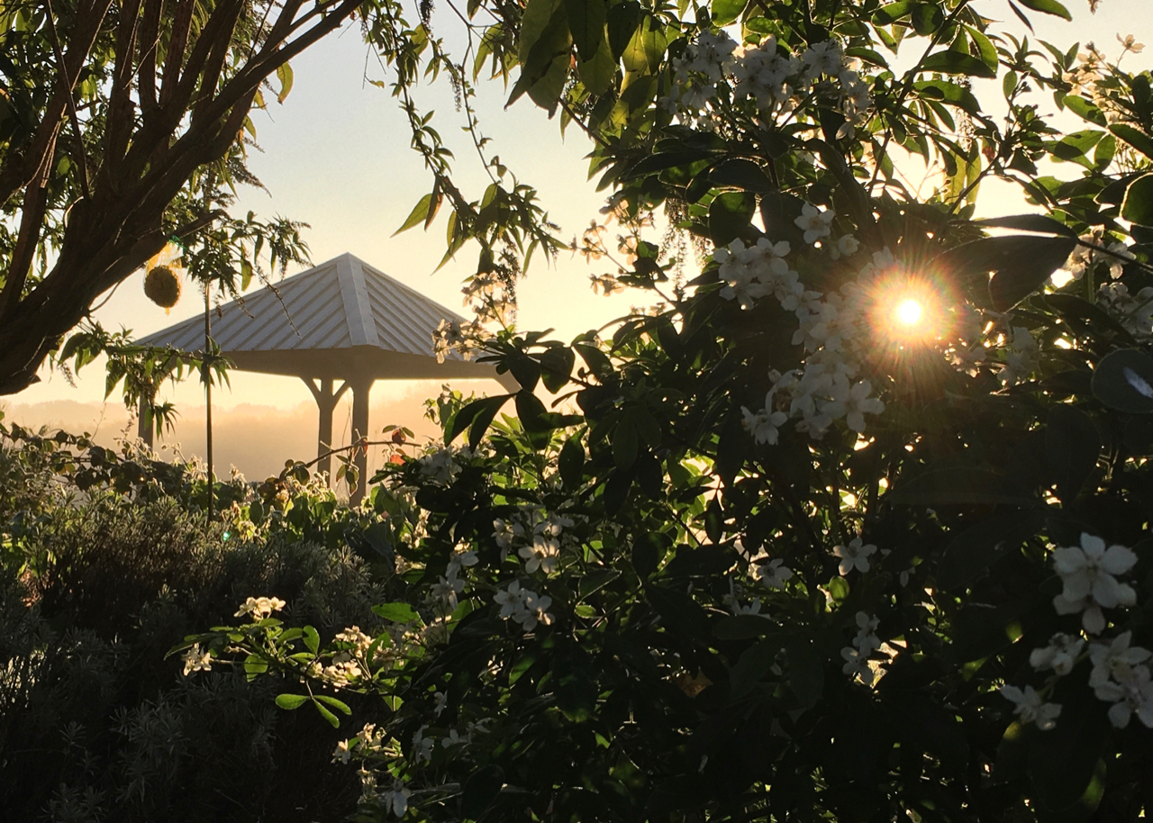 Under The Lime Tree Hot Tub, Charente