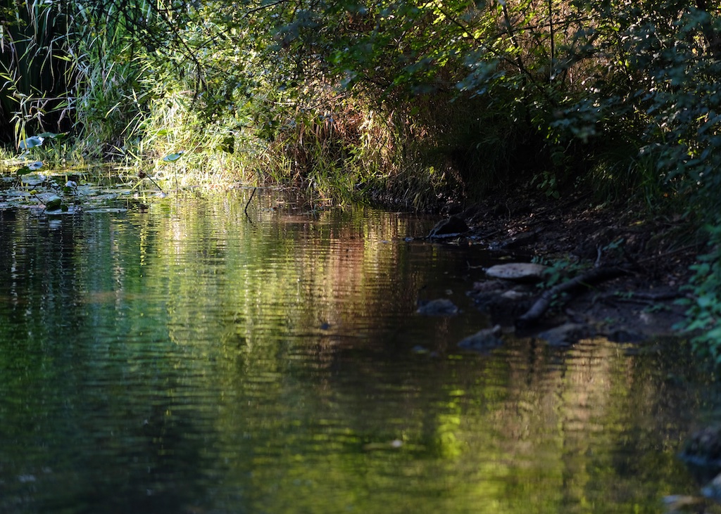 Under The Lime Tree Views from the River, Charente