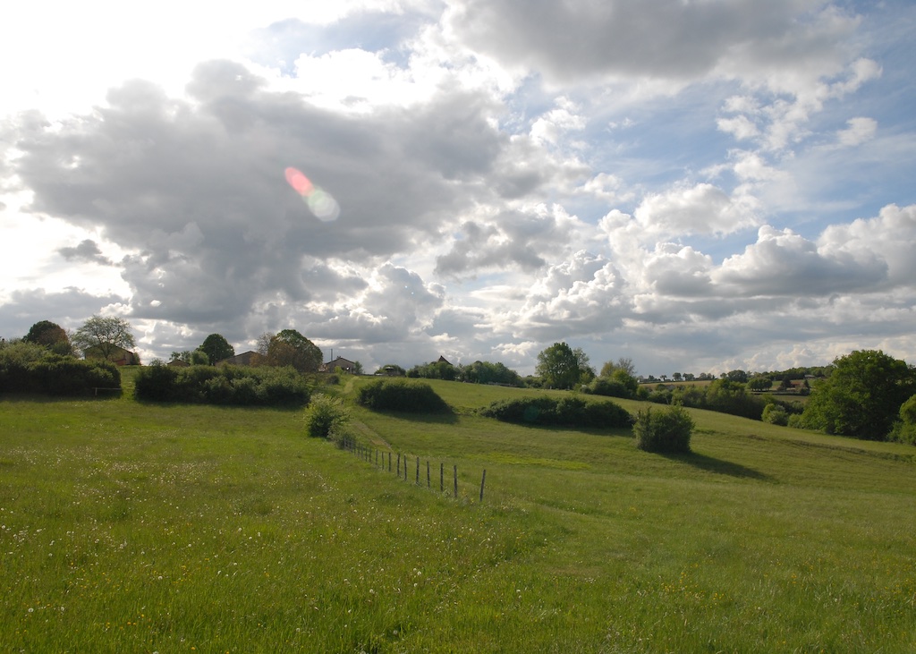 UTLT Meadow, Cellefrouin, Charente