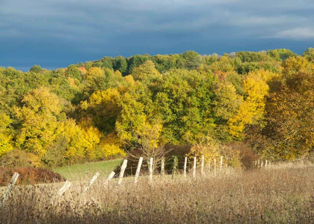 Autumn Land, UTLT, Cellefrouin, Charente