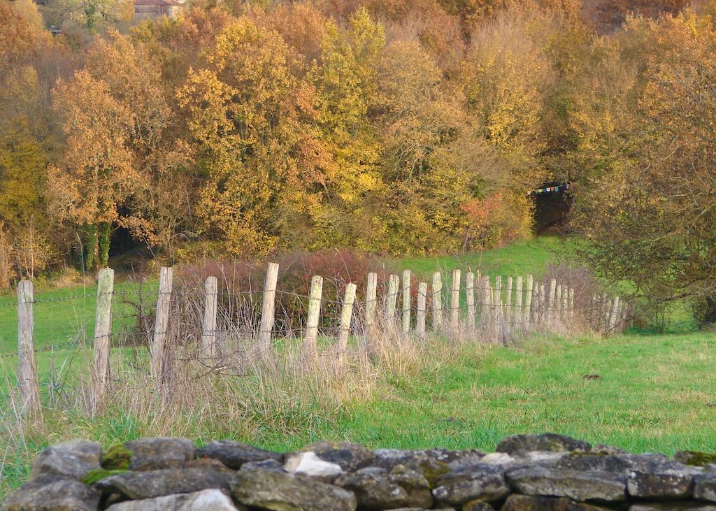 Entrance to the Woods, UTLT, Cellefrouin, Charente