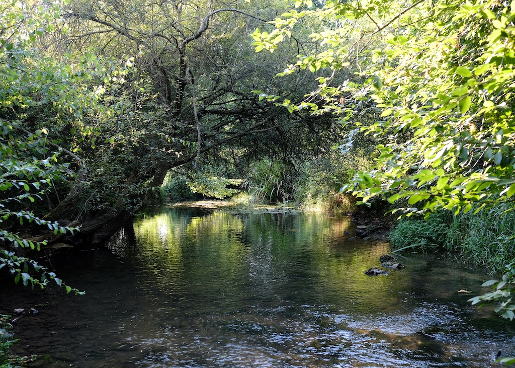 By the River Sonnette, Cellefrouin, Charente