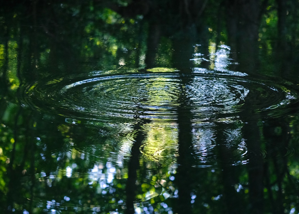 River Walks, UTLT, Cellefrouin, Charente
