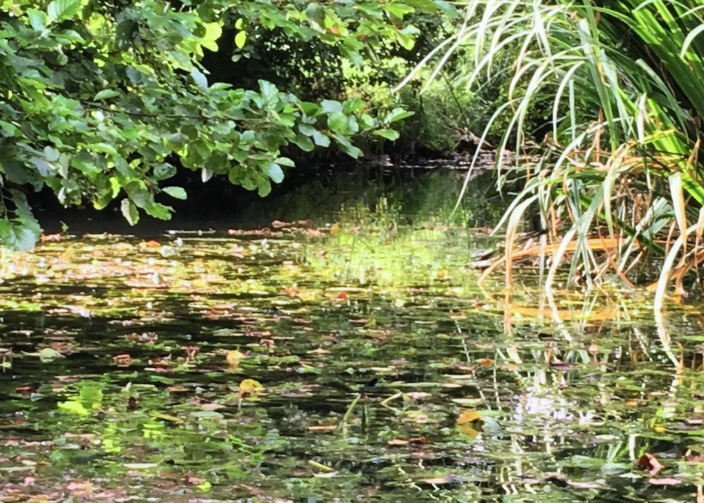 River Walks, UTLT, Cellefrouin, Charente