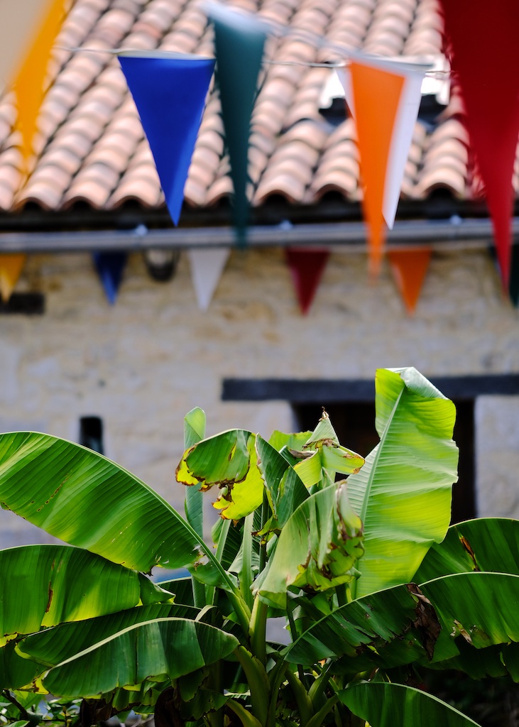 Rustic Studio Gite Accommodation, Cellefrouin, Charente