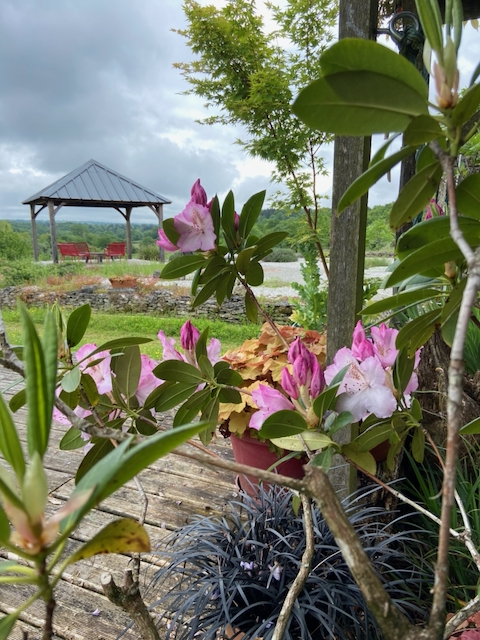 Farmhouse Vegetarian Bed and Breakfast, Cellefrouin, Charente
