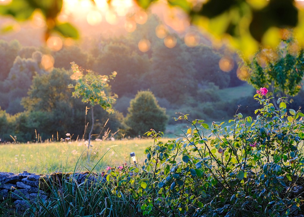 Spa Bed and Breakfast, Under The Lime Tree, Charente